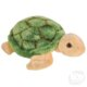 turtle boi